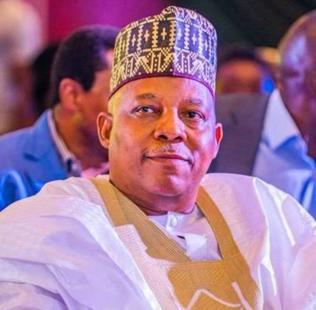 2027: North Central Stakeholders Ask Tinubu To Drop Vice President Shettima; Gives Reason