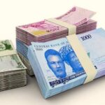 Expert Predicts New Exchange Rates As Naira Crashes in Black Market, Rises 5.38% in Official Window