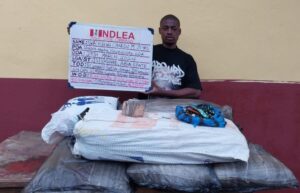 VIDEOS: NDLEA Intercepts Qatar-Bound Illicit Drugs Inside African Salad, Dried Vegetables