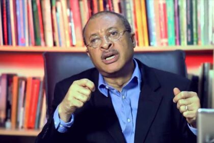 2027: Pat Utomi Opens Up On working On A New Mega Party