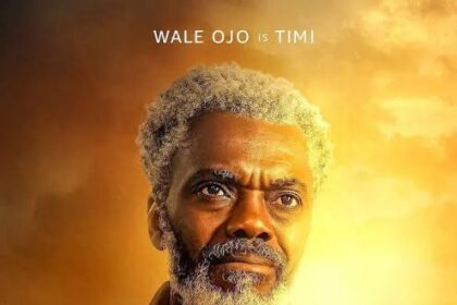 Wale Ojo: Marital Status And 5 Interesting Things You Probably Didn’t Know About 2024’s AMVCA Best Lead Actor