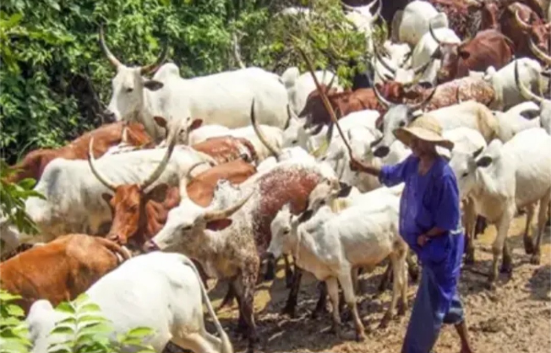 KIDNAPPINGS: Sunday Igboho Returns To Action, Issues Fresh Eviction To Fulani Herdsmen