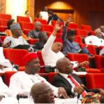 'This Is Not A Nightclub', Senate President Akpabia Cautions Kogi Female Senator, Natasha Akpoti