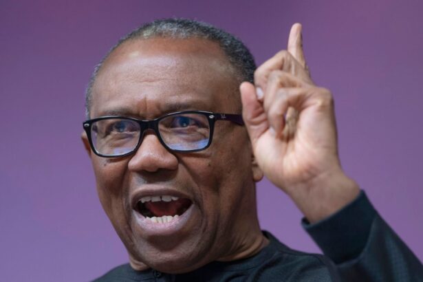 2027: Fresh prophecy predicts Peter Obi’s emergence as next President, reasons, details emerge