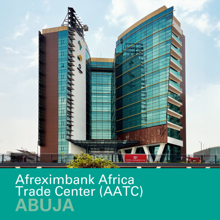 Before Nigerian Billionaires Bankrupt Afreximbank: Guarding Africa’s Financial Crown